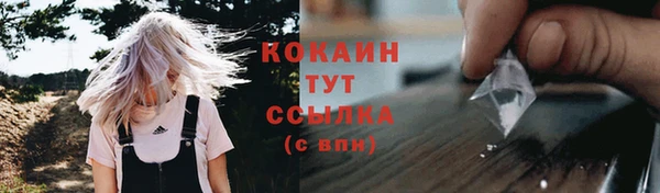 ГАЛЛЮЦИНОГЕННЫЕ ГРИБЫ Протвино