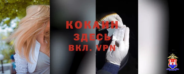 ГАЛЛЮЦИНОГЕННЫЕ ГРИБЫ Протвино