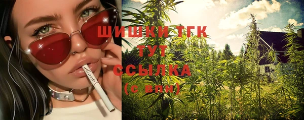 ГАЛЛЮЦИНОГЕННЫЕ ГРИБЫ Протвино
