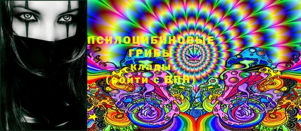 ГАЛЛЮЦИНОГЕННЫЕ ГРИБЫ Протвино