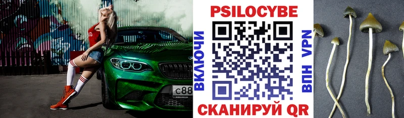гидра онион  где найти   Липки  shop какой сайт  Галлюциногенные грибы Psilocybine cubensis 